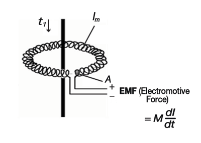 Toroidal.gif