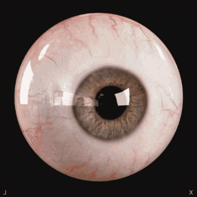 eyeball-creepy.gif